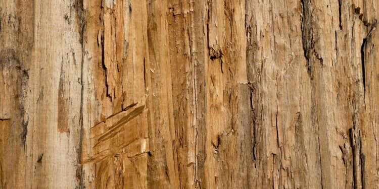 Scientists Have Developed “Superwood” That Is Even Stronger Than Steel