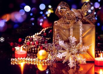 7 Costco Gifts in the Savings Book! Hurry For Christmas Gifts